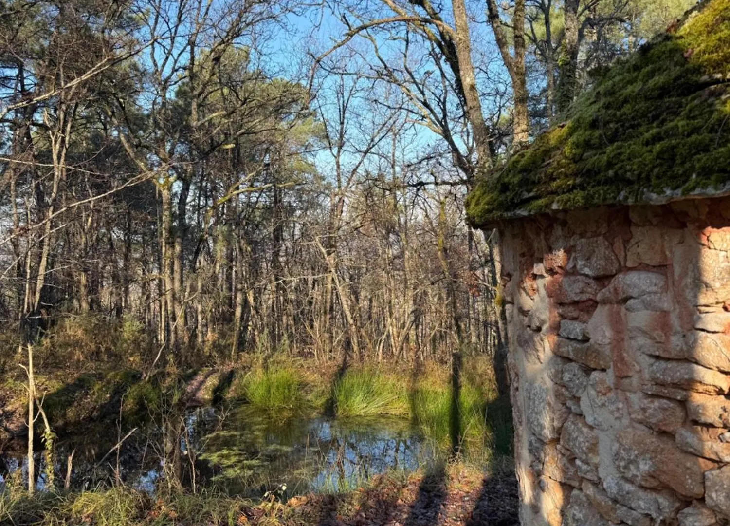 بيت للعطل فيلا La Ferme De Belbouys Soturac